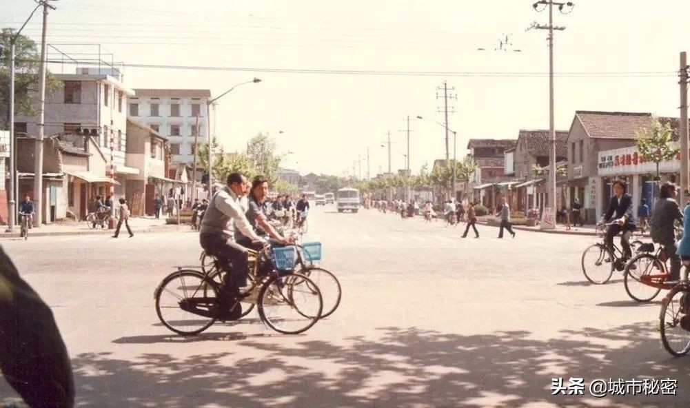从学霸到赌王再到上市公司老总,浙大化学系学霸到服装公司上市