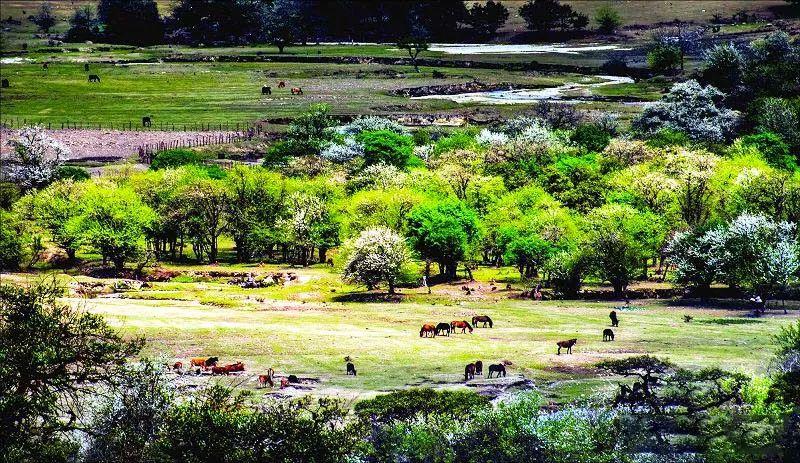 云南瑞丽腾冲离缅甸有多远,瑞丽与腾冲地理位置