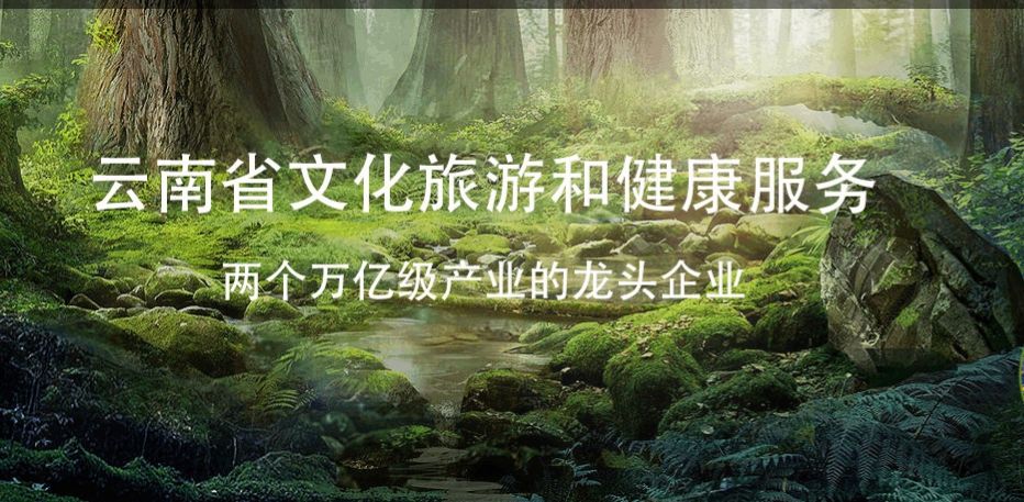 负债率98.5%,背靠强劲大股东,省级城投,ST云城,能否凤凰涅槃