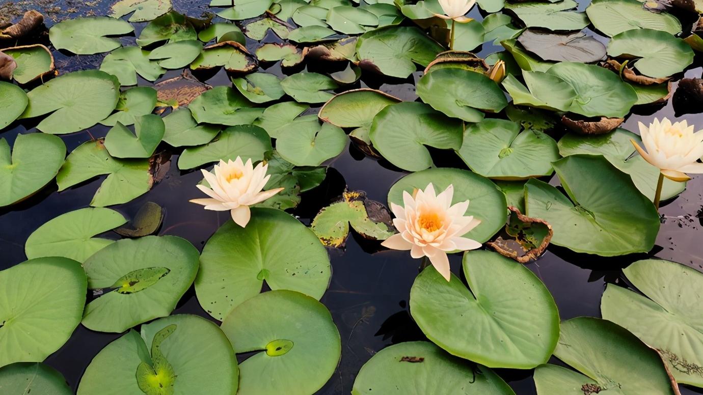 浅谈全国34个省级区域之华东篇：江苏省—宿迁市