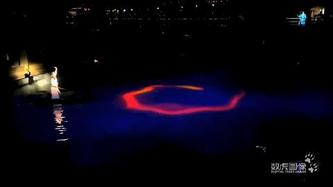 属虎,数虎图像深圳