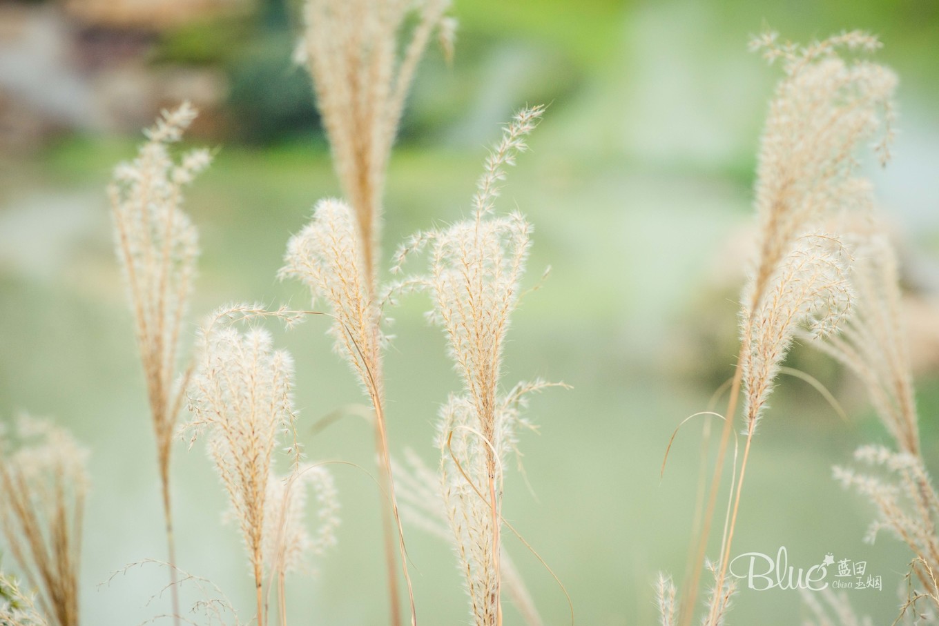 中国最美的大乘佛寺,最有灵性的古佛寺