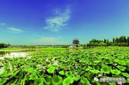 城市推介官推介家乡,武汉城市推介会
