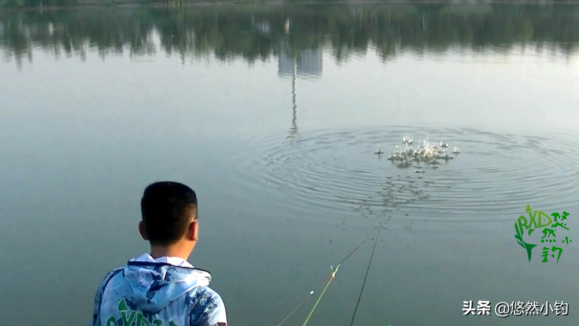 野钓避小鱼最有效的方法,野钓如何避小钓大