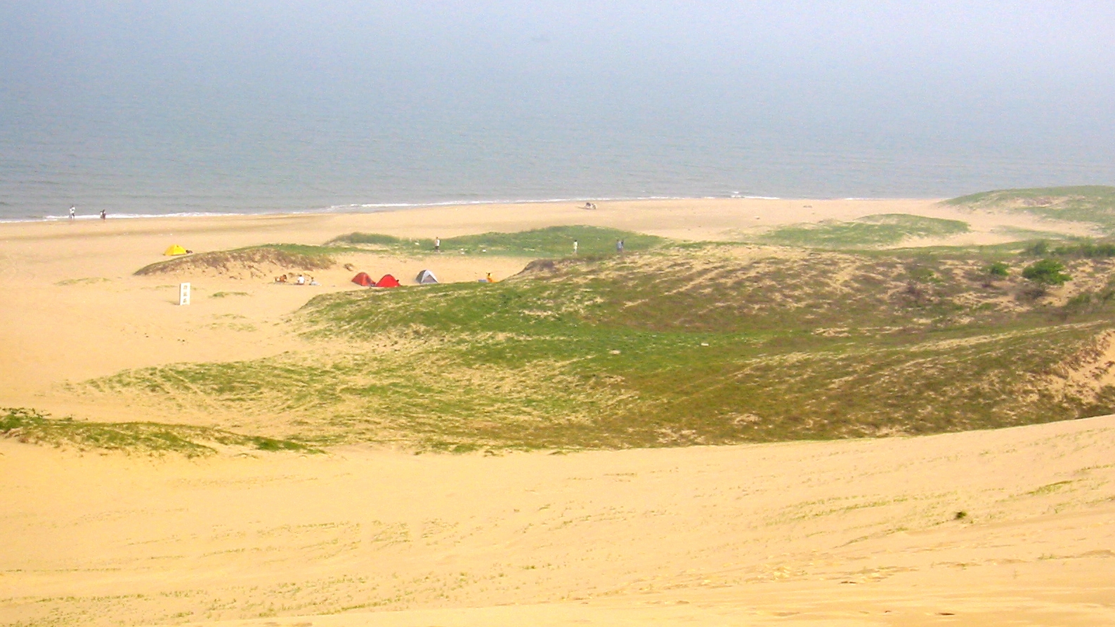 纪念失去后的重生,纪念失去的一切