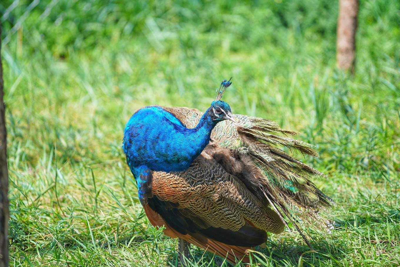 如何对付炎热的高温,炎炎夏日应对冬天