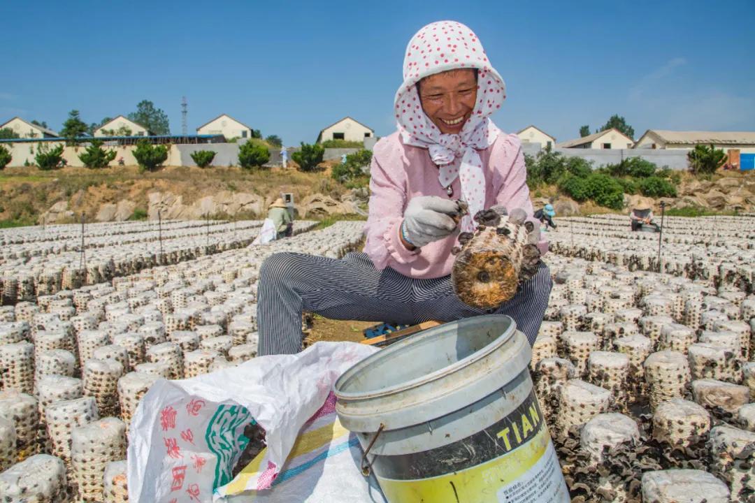 东港这么美！我要去看看