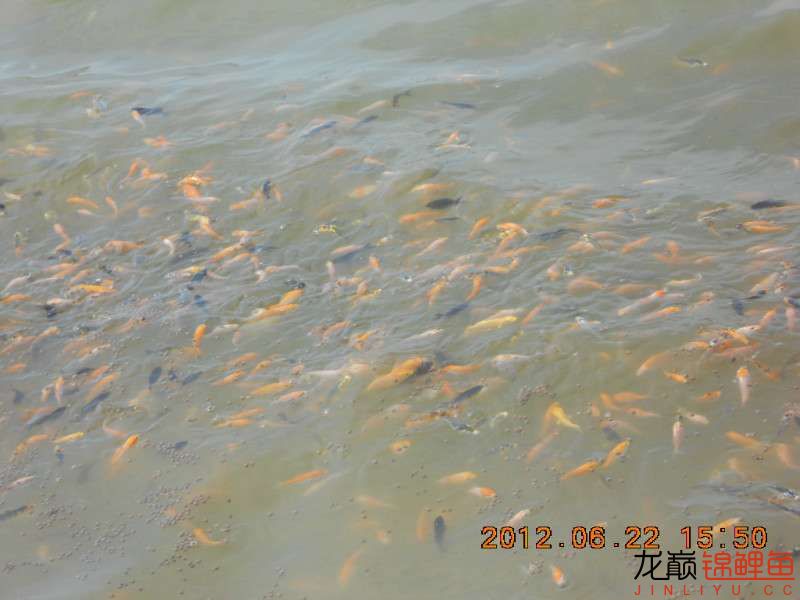 开渔场赚钱吗,开渔场需要多少资金