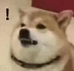 塑身衣，甩脂机，瘦瘦包减肥效果好吗？专家终于讲出大实话！