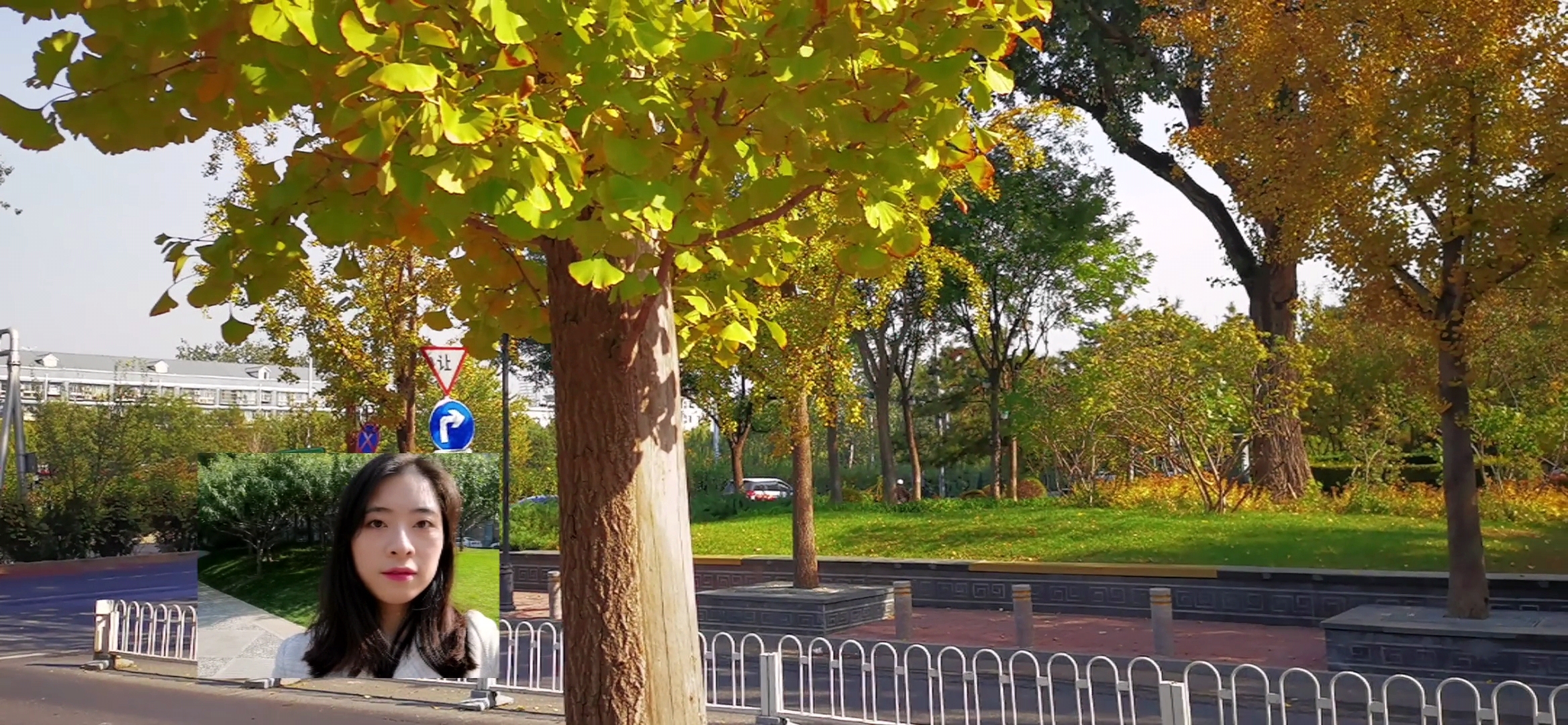 一起感受下华为mate40pro的压迫感,华为mate40pro秋日胡杨为什么贵