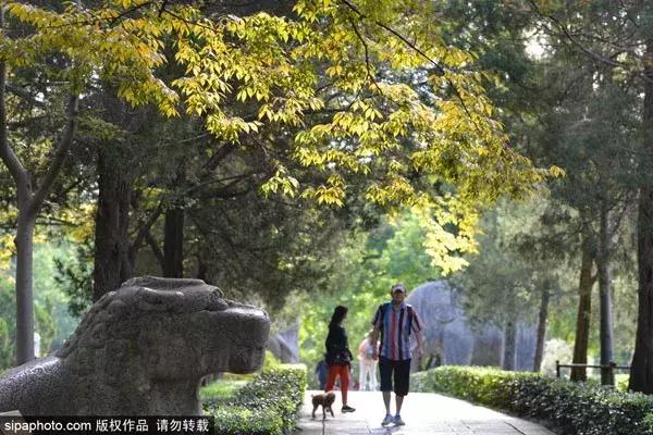 北京出发特价往返机票多少钱,北京出发旅游特价票