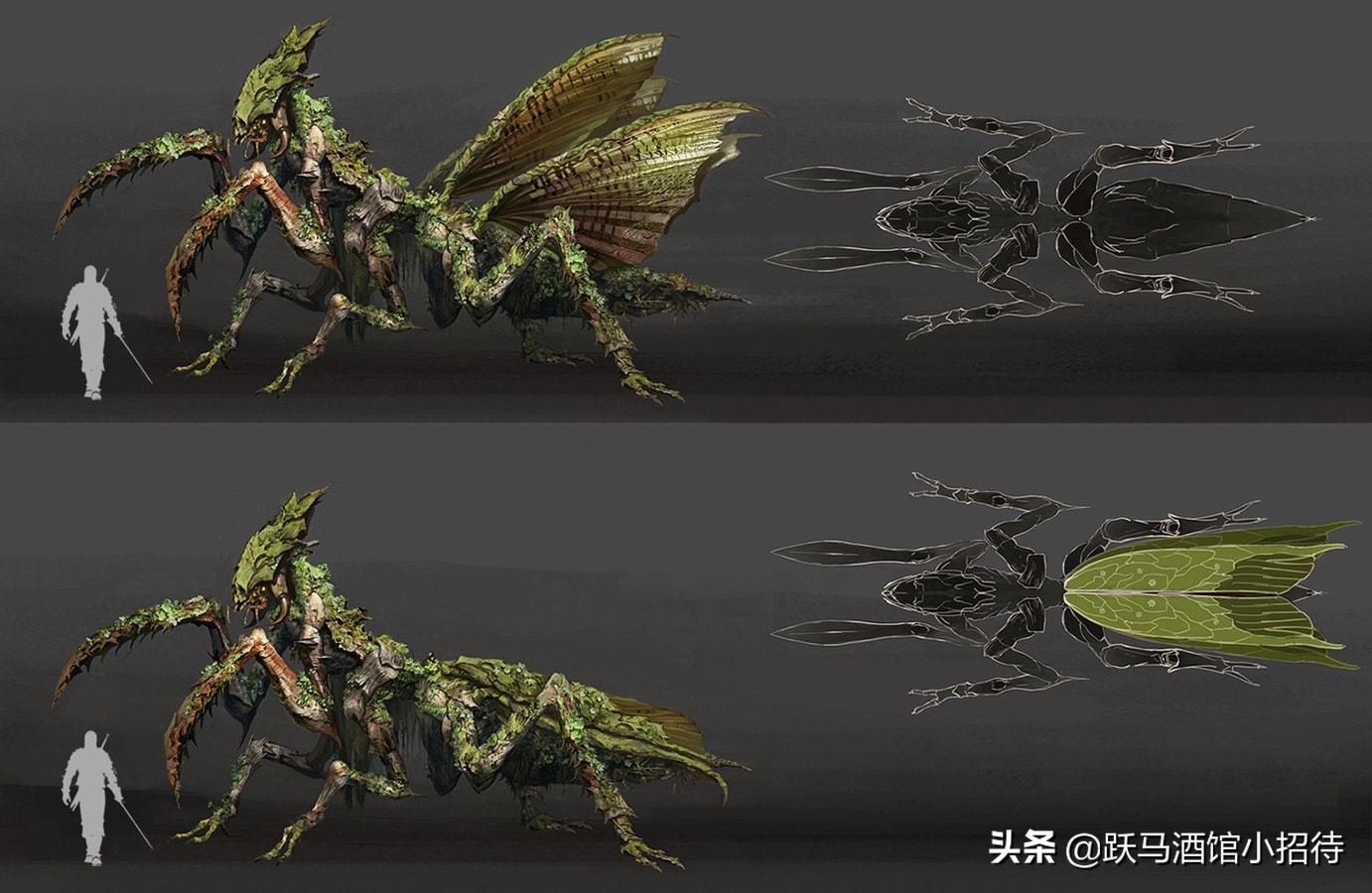 猎魔人跟狼人,美剧猎魔人十大魔法