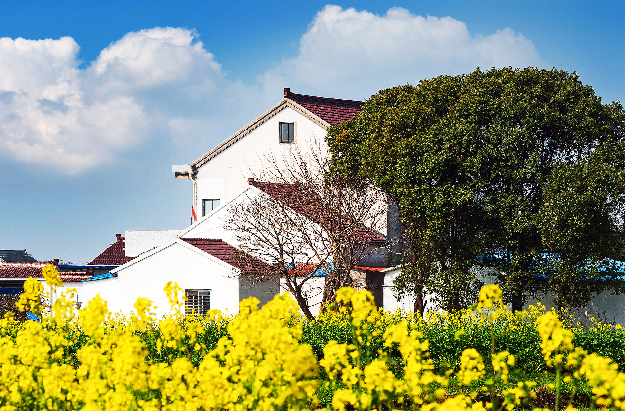 刚好我也喜欢你暮回全文阅读,刚好我也喜欢你小说完整版