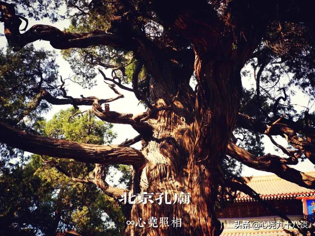 北京孔庙游览攻略,孔庙历经了700多年的历史文化积淀