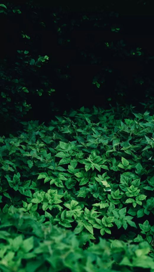 古诗词里纳凉,诗词夏季乘凉