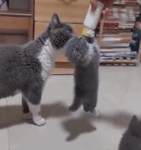 设计师脑洞大奇葩设计,脑洞大的设计师奇葩设计