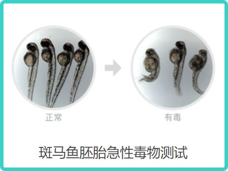 美白精华测红榜,所有美白精华测试