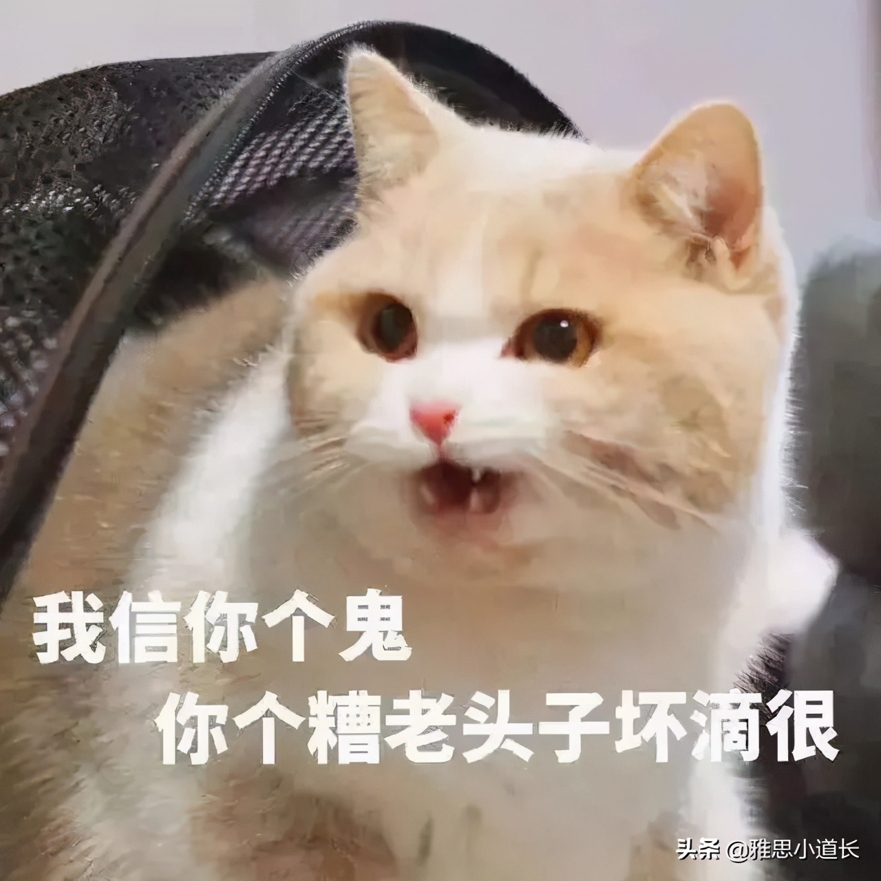 duckface视频,duckface什么意思