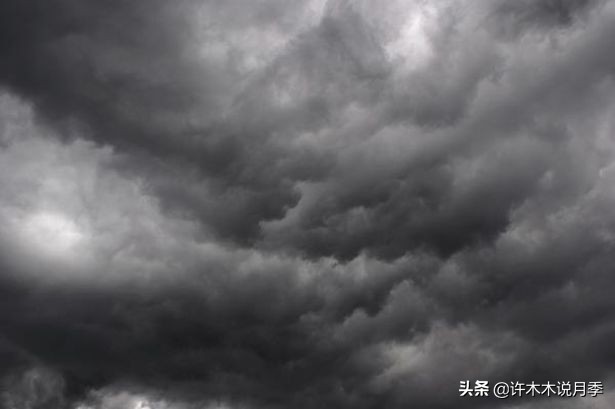 地栽月季水浇多了烂根怎么补救,藤本月季大苗烂根快速恢复方法