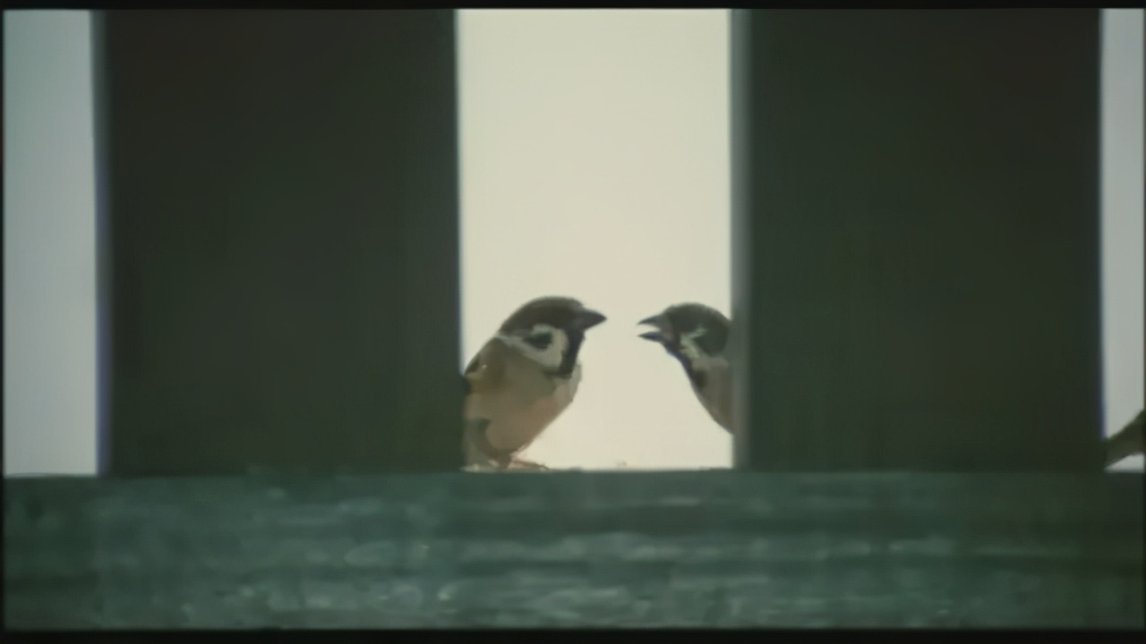 鏃犱汉鐭ユ檽鏃ユ湰鐪熷疄浜嬩欢缁撳眬,鏃ユ湰涓嶈