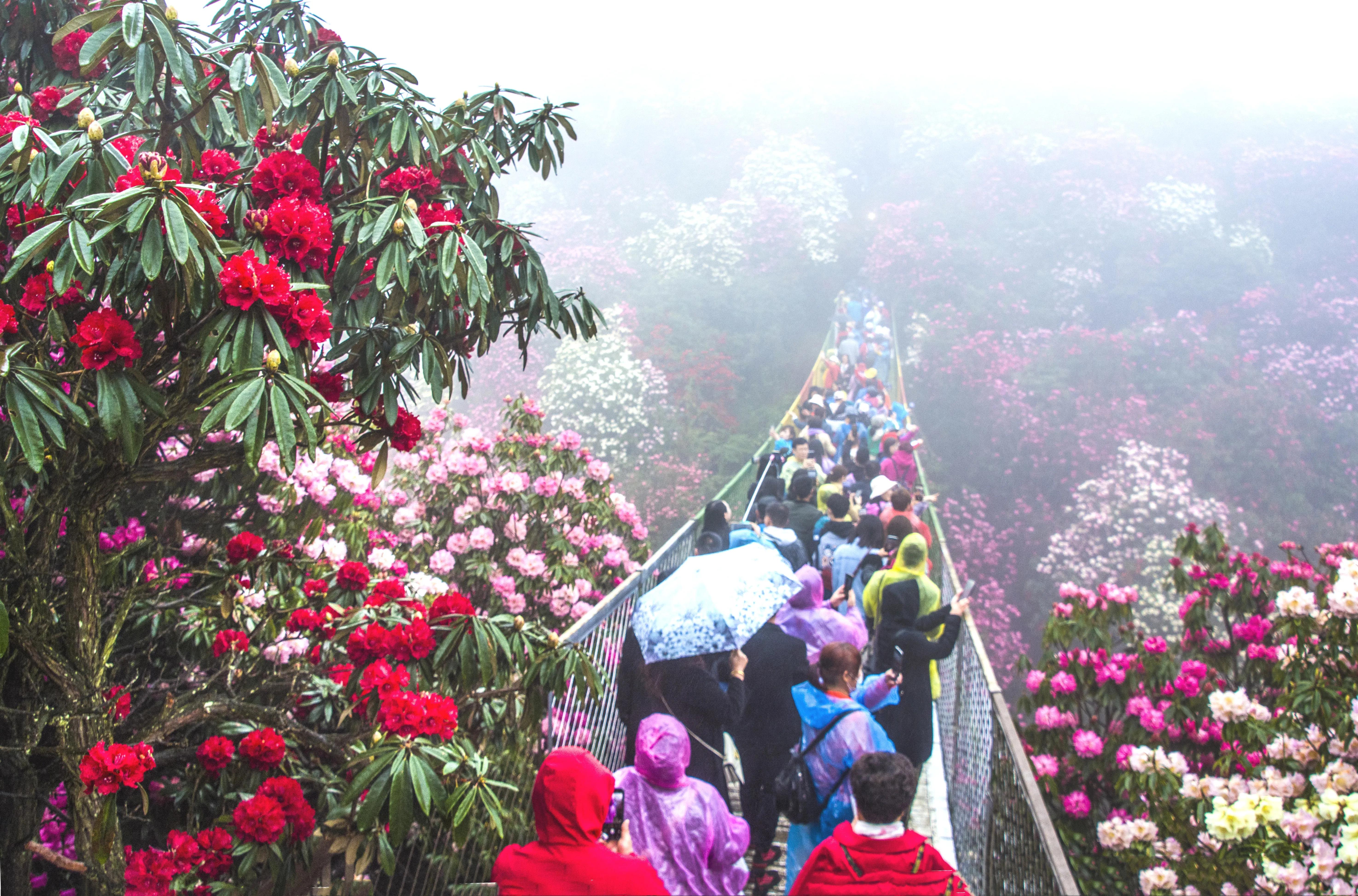 贵州大学1984级管科系同学欢聚毕节录