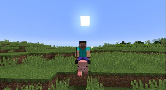 我的世界最适合做坐骑的人,我的世界什么生物可以当坐骑