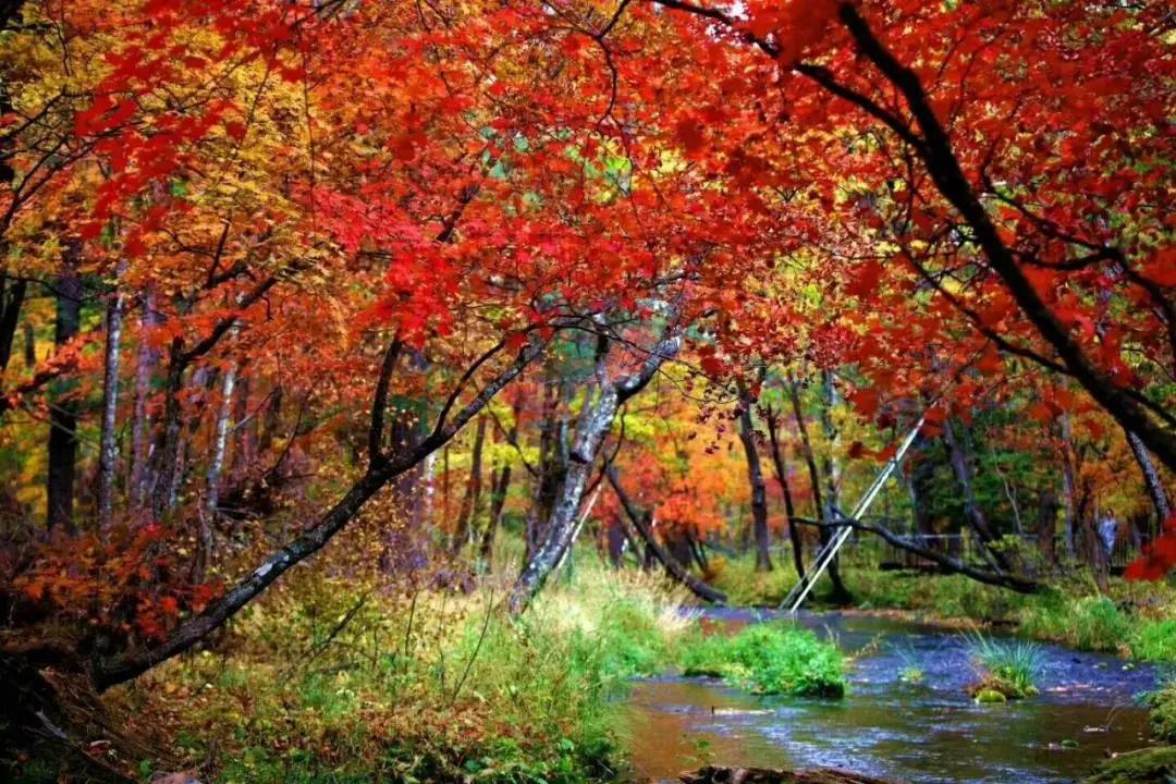 旅游景点畅玩团购,景点游玩优惠团购