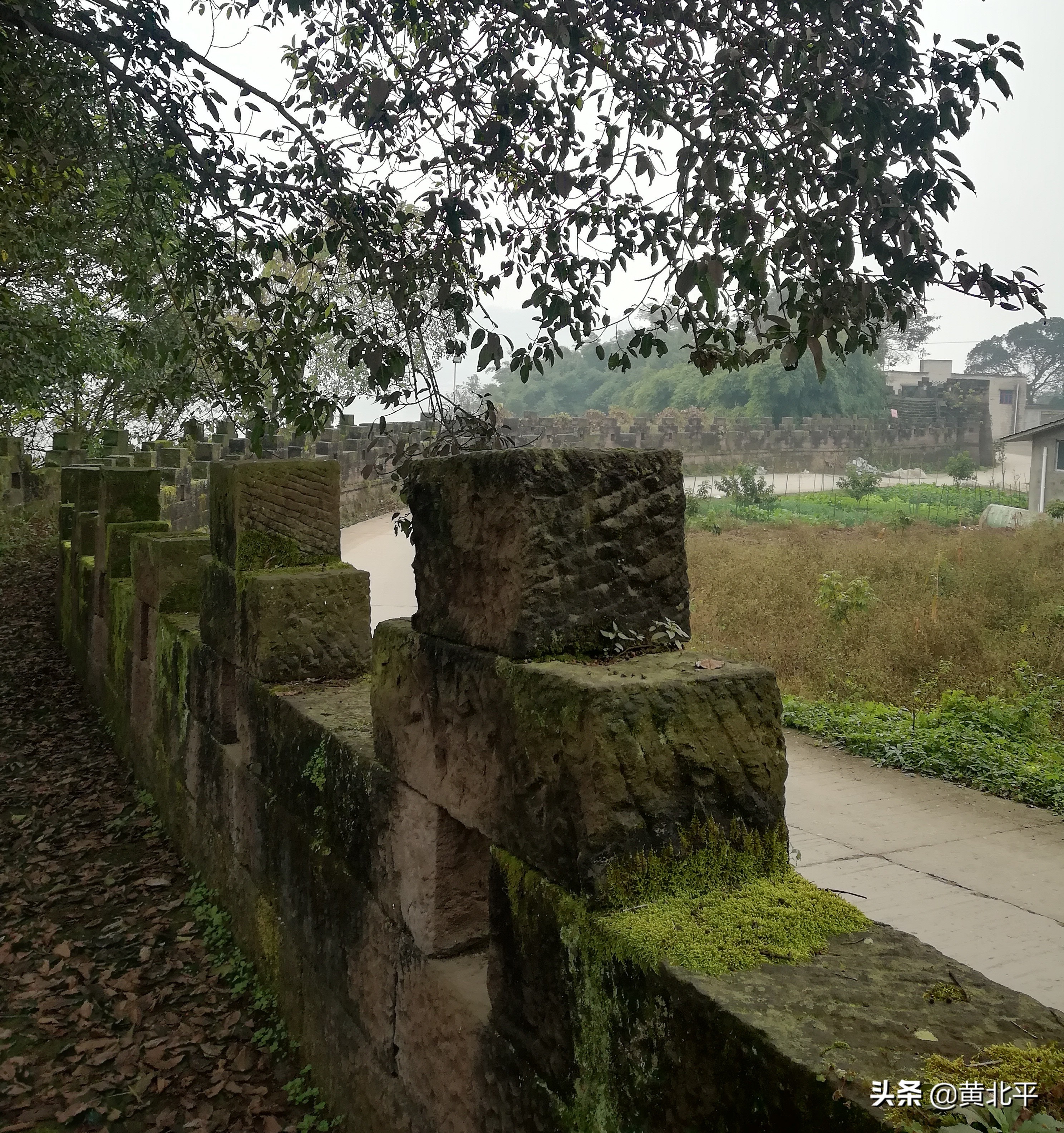 泸州神臂城遗址,老泸州遗址神臂城历史介绍