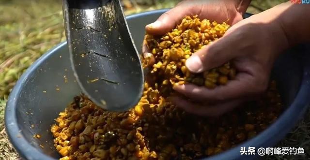 过春守大鲤,万万想不到钓了一尾神兽,你们认识这是什么吗?