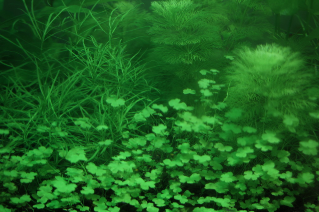 灏煎悍澶氶噸鏇濆厜鏁欑▼,浣宠兘澶氶噸鏇濆厜鏁欑▼