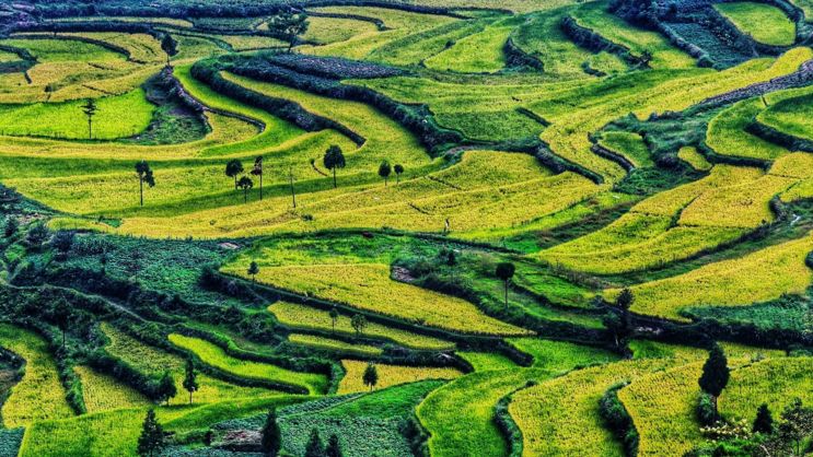 秋天最值得去的四个地方,秋天全部的风景