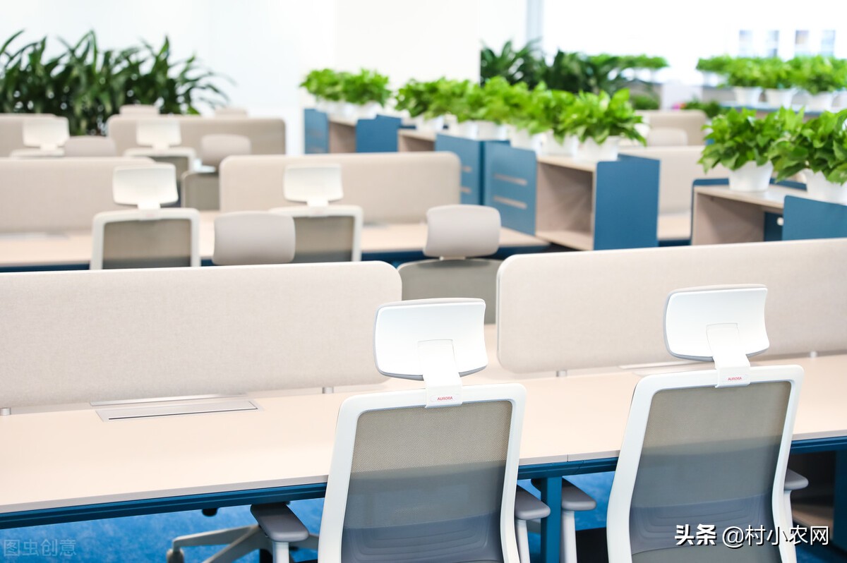 农村创业项目快速赚钱,新农村创业适合做的几个生意项目