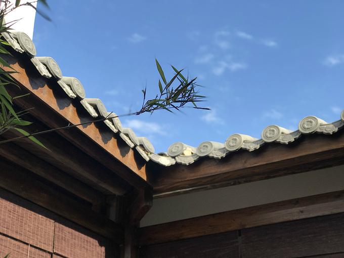 鏉ヤ竴鍦轰笉璁℃垚鏈殑鏃呰,鏉ヤ竴鍦轰笉鐭ュ綊鏈熺殑鏃呯▼