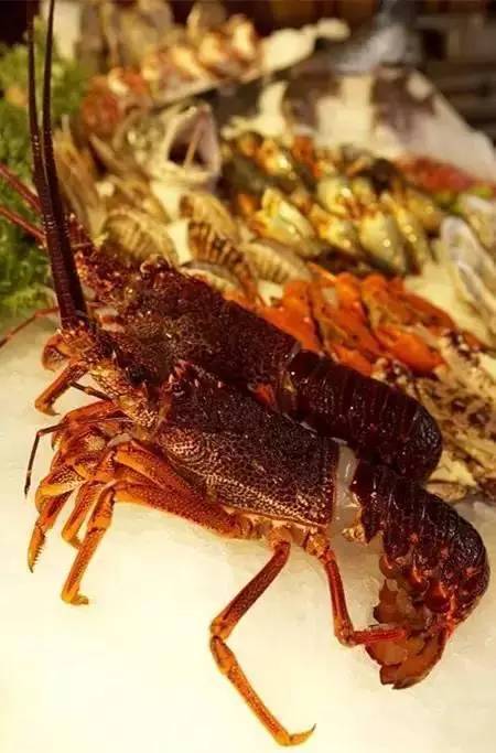 武汉最贵的东西是什么,武汉最贵的20样东西