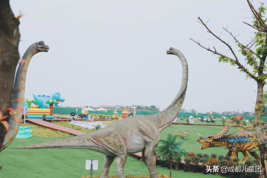 空港运动公园看飞机视频,空港花园和空港花田是一个位置吗