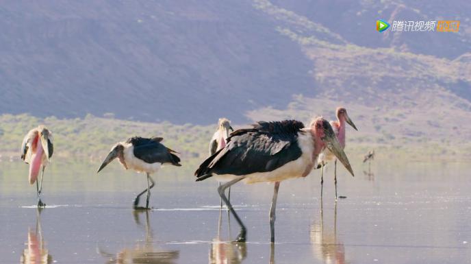 被吹爆的神片,被吹上天的神作