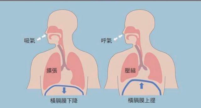 孕期喘不上气吸氧有用吗,孕期经常吃完饭后喘不上来气