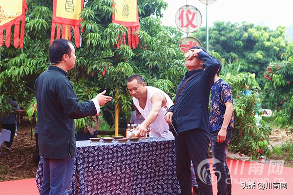 又是一年荔枝红全诗,又是一年一度荔枝成熟的季节