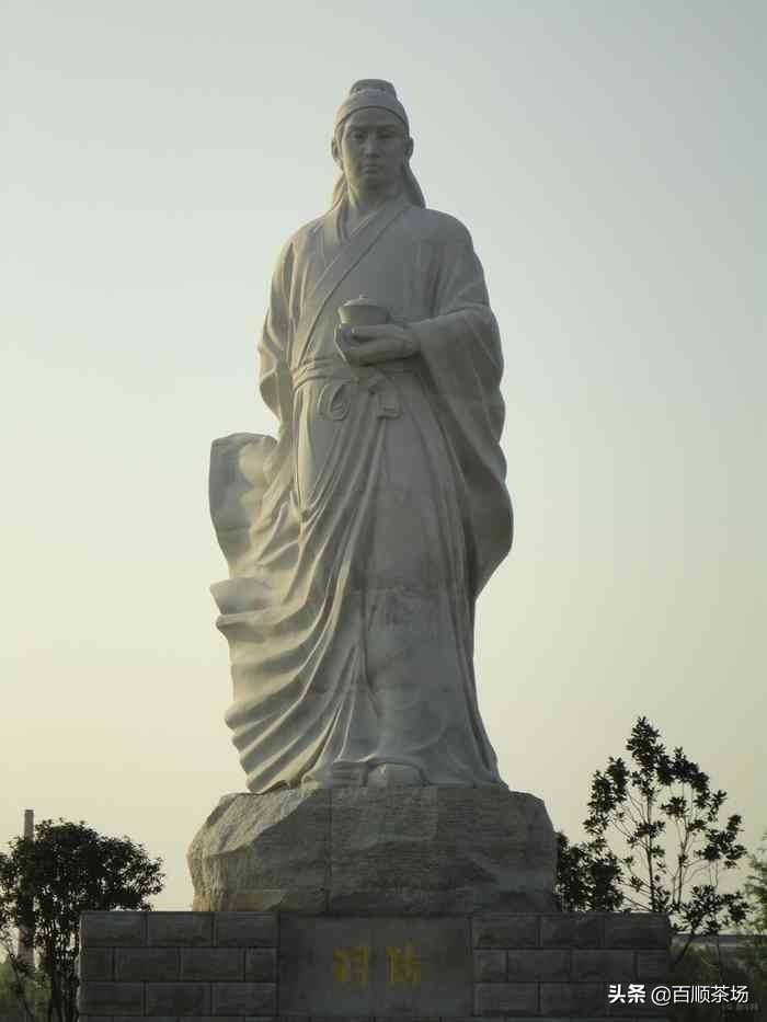 陆羽茶经信阳毛尖,信阳毛尖被誉为绿茶之王