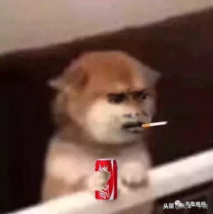 做代购被查缴税后还要判刑吗,代购店主逃税300万判几年