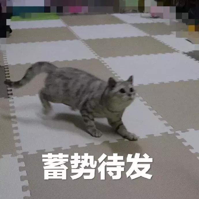 太原最便宜的楼盘房价,太原东山楼盘最新房价