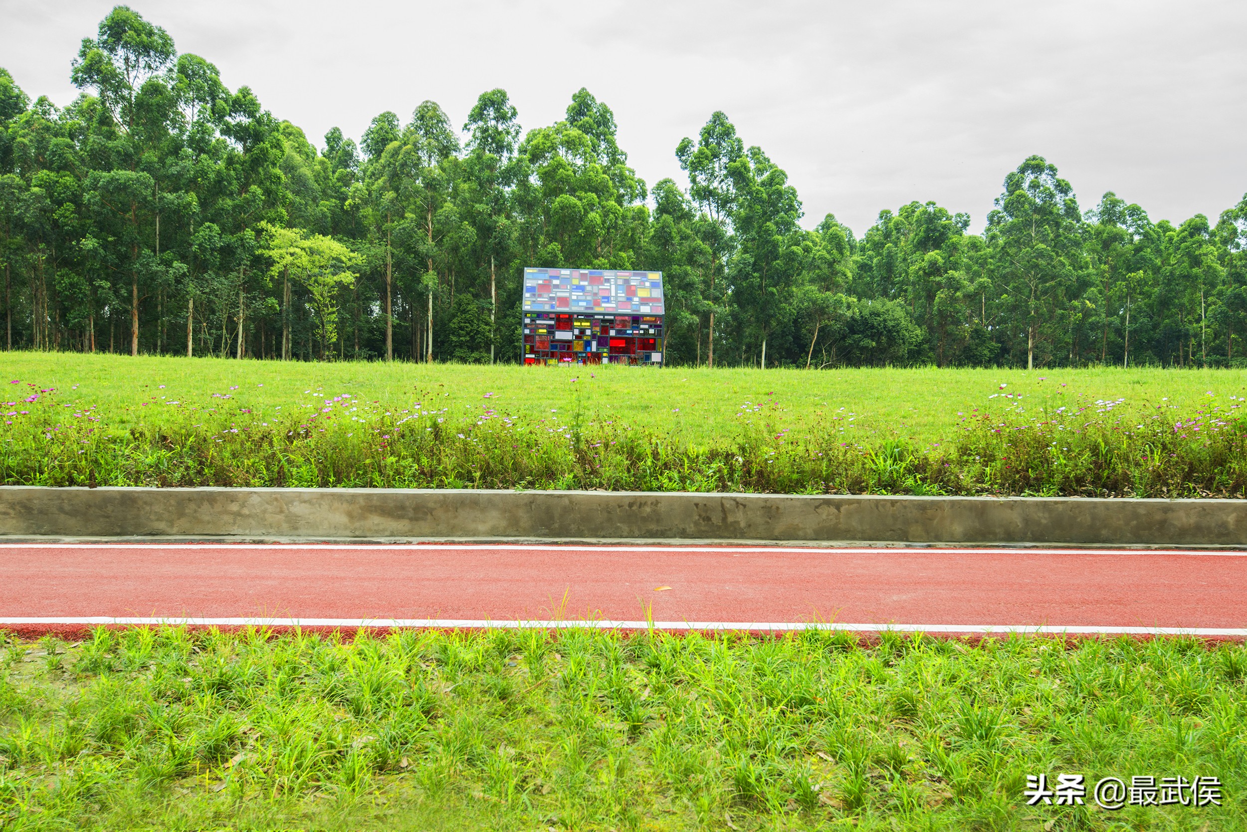“秋老虎”来了不虚火!武侯这些地方让你享清凉
