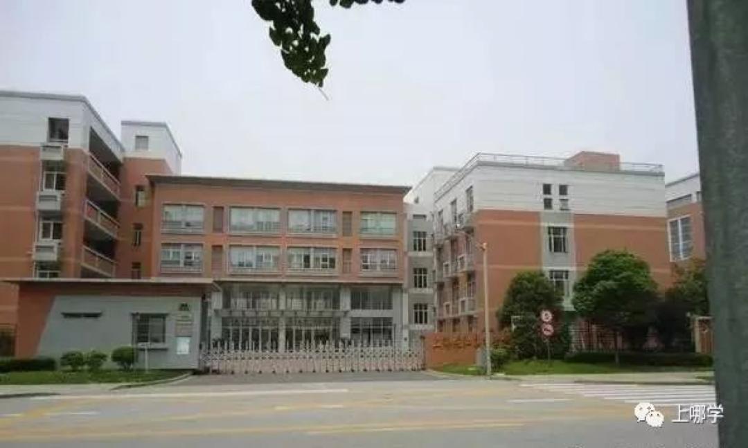 上海最厉害20所小学,上海市强势崛起的十大公办小学