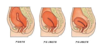 月子是女人的第二次生命，做好这10点，出月子容光焕发不落病