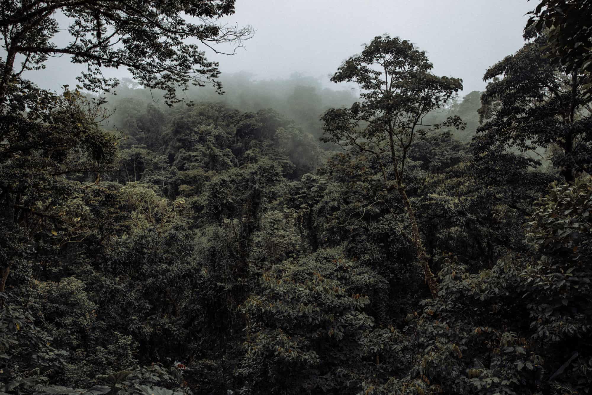 哥斯达黎加旅行完整视频,哥斯达黎加一日游