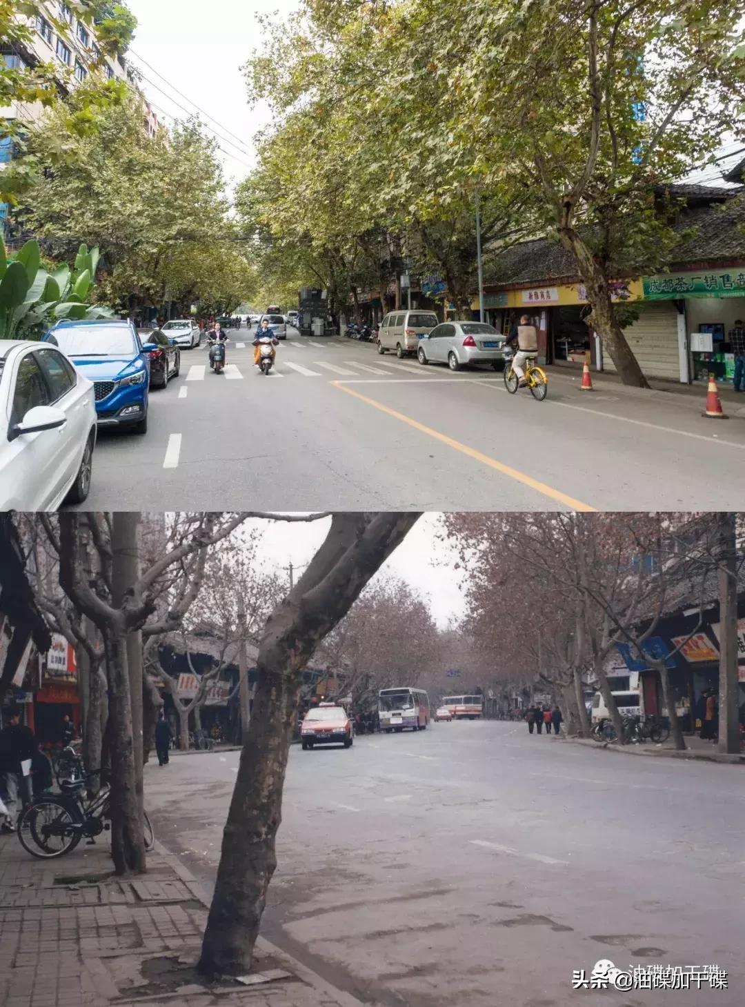 ‘老字号凤祥楼’和‘思聪老公同款迪厅’，你选哪个？