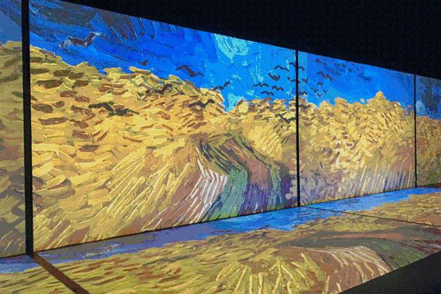 我是策展人|为啥有的展览让你流连忘返、百看不厌？