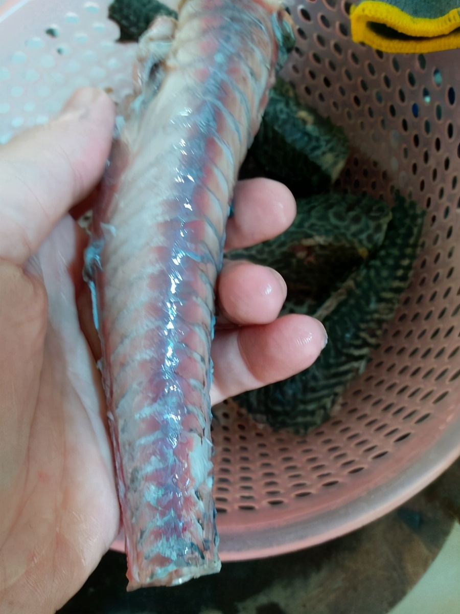 野钓淡水鱼最好吃的鱼种,钓鱼人钓的鱼都是哪几种鱼