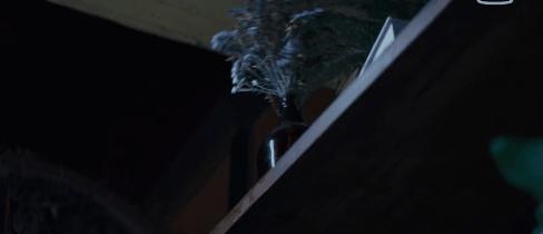 唐人街探案网剧ivy有没有爱过林默,唐人街探案ivy和林默lovestory