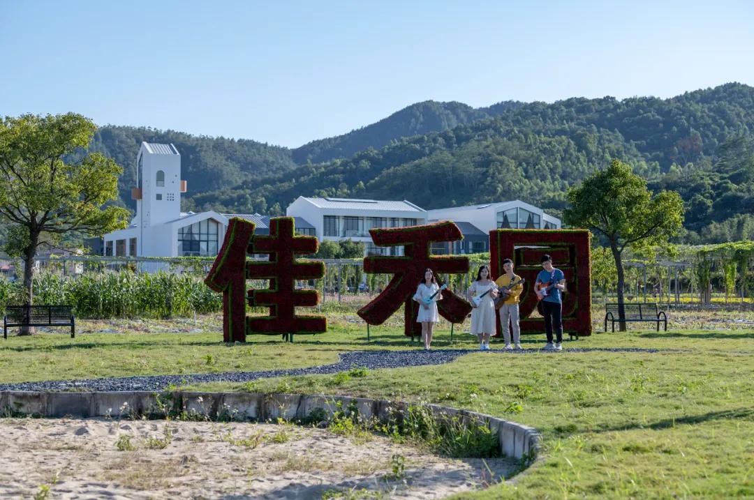 惠阳的稻田,惠阳稻田美景